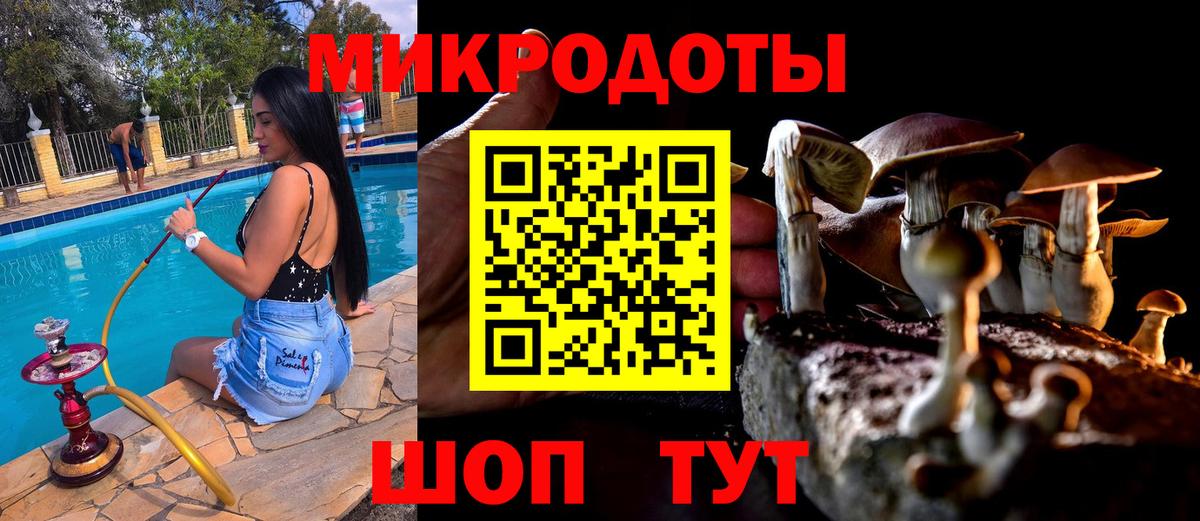 Канск  Галлюциногенные грибы ЛСД  Вход с VPN 