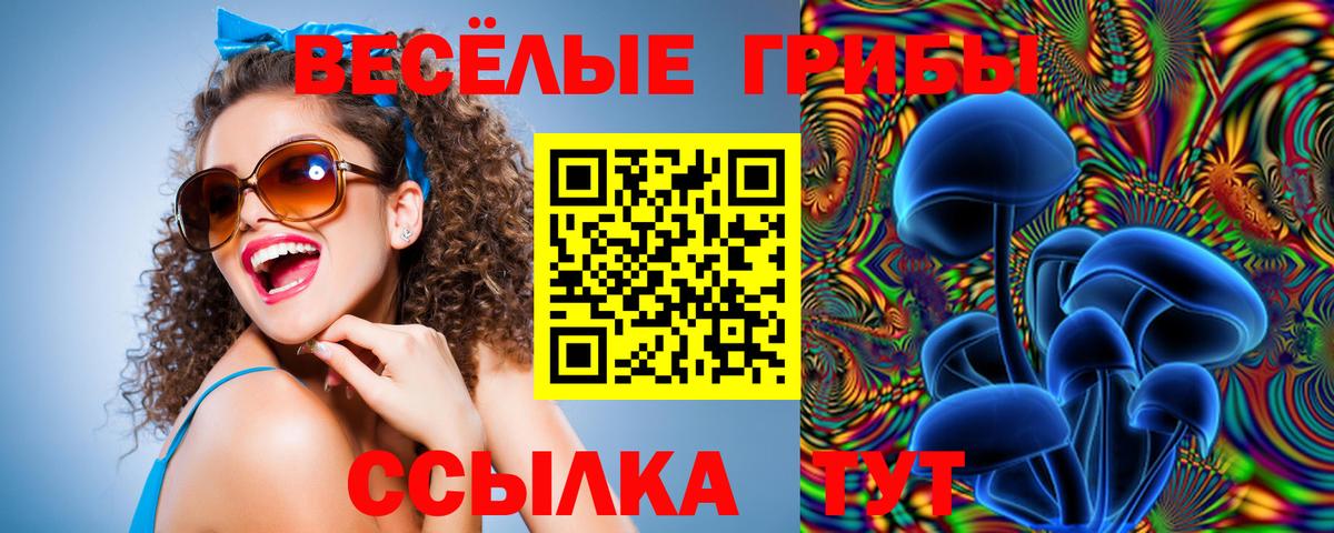 Псилоцибиновые грибы MAGIC MUSHROOMS Канск